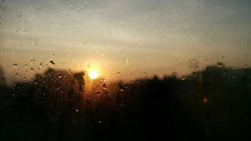 Close-up of water drops on glass