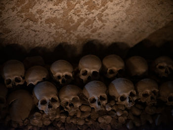 Close-up of human skull