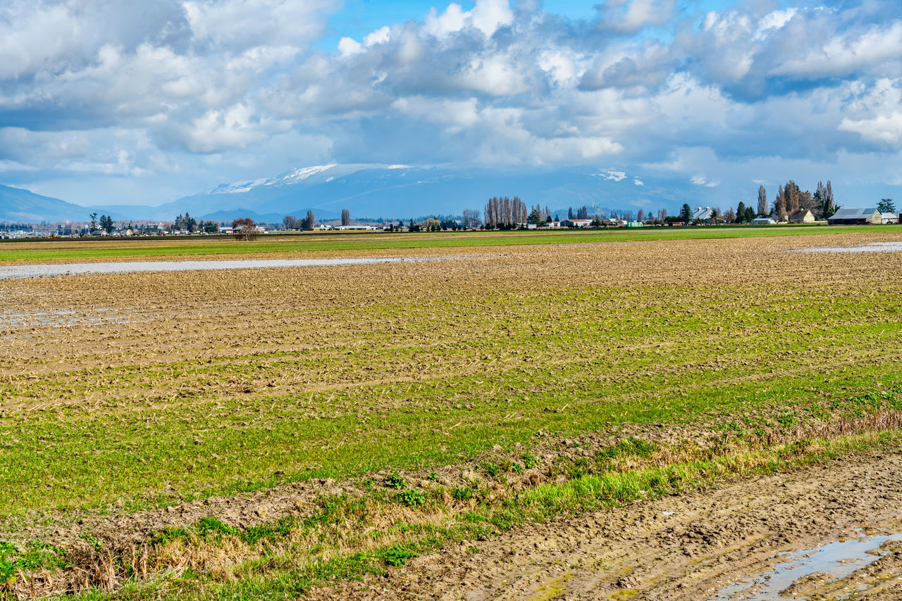 landscape, environment, agriculture, land, sky, field, rural scene, cloud, plant, nature, horizon, plain, rural area, scenics - nature, soil, grass, farm, crop, food, food and drink, grassland, beauty in nature, paddy field, no people, prairie, tranquility, social issues, vegetable, outdoors, cereal plant, growth, water, tree, day, environmental conservation, blue, travel, tranquil scene, summer, green, cloudscape, non-urban scene