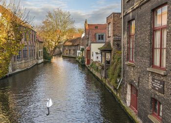 Canal amidst buildings in bruges 