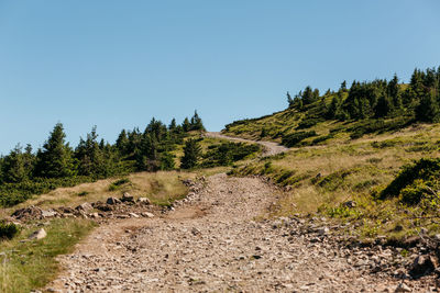 Scenic view of landscape against clear sky