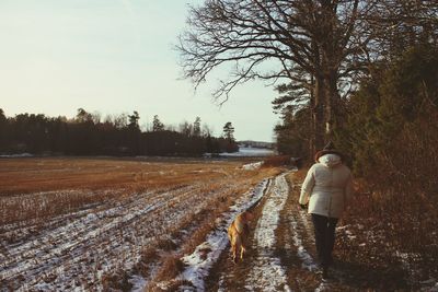 Person walking in field with dog