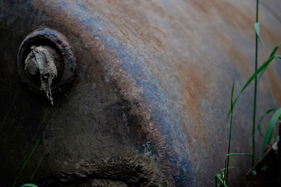 High angle view of rusty pipe on wall