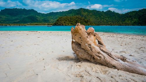 Scenic view of beach