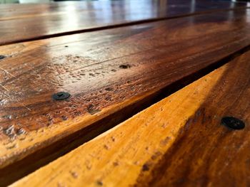 Close-up of insect on wooden table