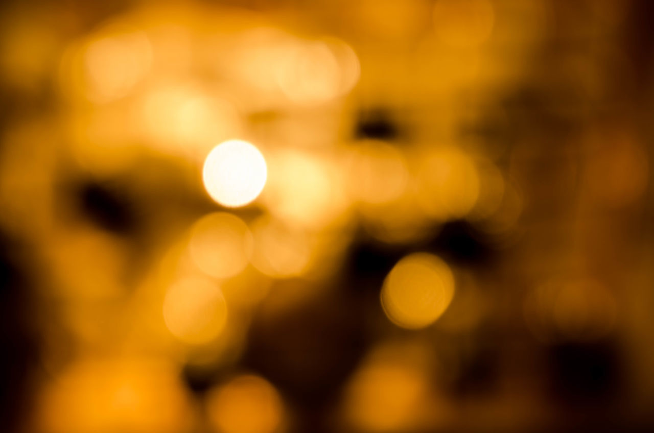 CLOSE-UP OF ILLUMINATED CHRISTMAS LIGHTS