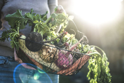 Woman's hands holding wire basket with root vegetables