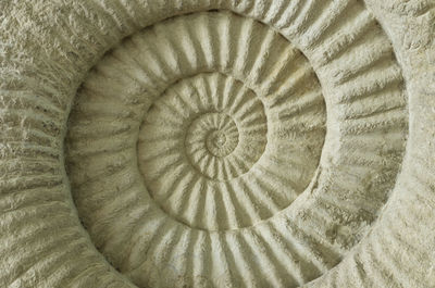 Full frame shot of spiral staircase