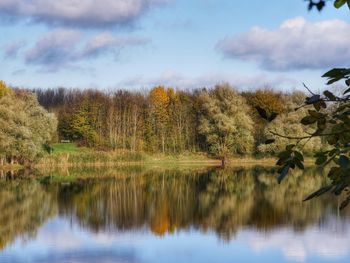 Reflection of trees in lake against sky