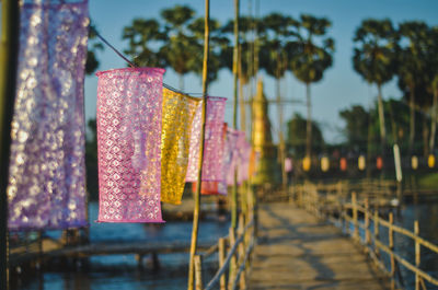 Close-up of multi colored umbrellas hanging by trees against sky