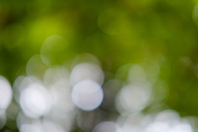 Close-up of defocused image of blurred background