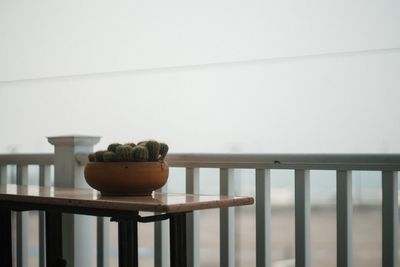 Close-up of small potted plant on table at home