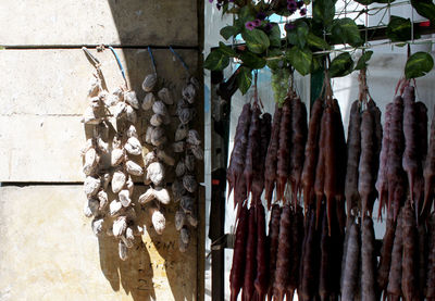 Close-up of vegetables hanging on clothesline