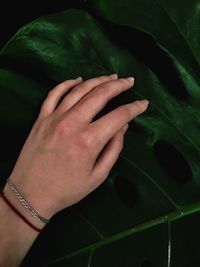 Close-up of woman hand on leaf