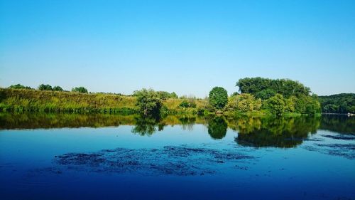 Reflection of trees in calm water