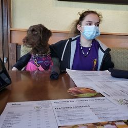 Portrait of woman holding dog on table