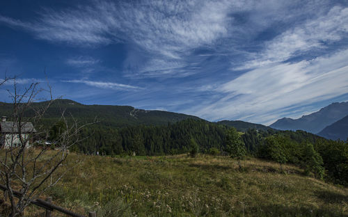 Scenic view of landscape against sky