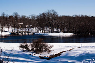 Snow covered bare trees by lake against sky during winter