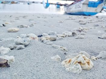 Close-up of sand on beach