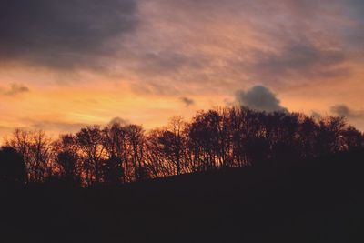 Silhouette of trees at sunset