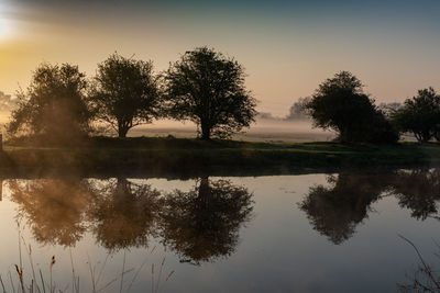 Reflection of trees in lake against sky during sunset