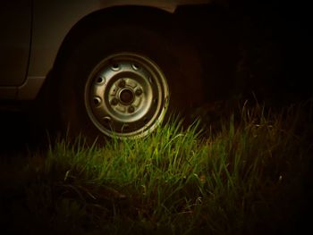 Grass on field at night
