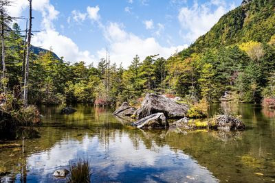 Scenic view of lake by trees against sky