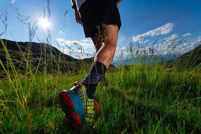 Walk in the meadow walk in the mountains in the mountains with sun and landscapes.