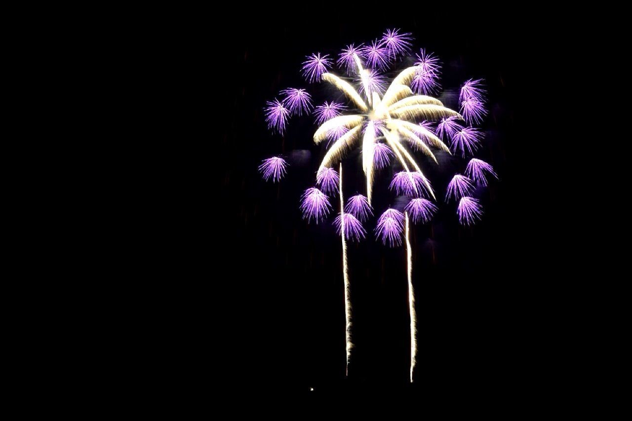 flower, night, studio shot, black background, illuminated, copy space, glowing, purple, fragility, flower head, celebration, beauty in nature, firework display, no people, exploding, freshness, close-up, nature, dark, clear sky