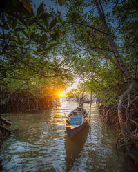 Scenic view of river in forest