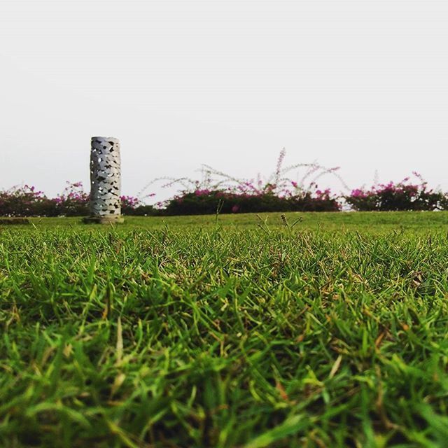 grass, field, clear sky, built structure, architecture, green color, copy space, building exterior, grassy, growth, landscape, rural scene, nature, day, old, outdoors, no people, agriculture, tranquility, lawn