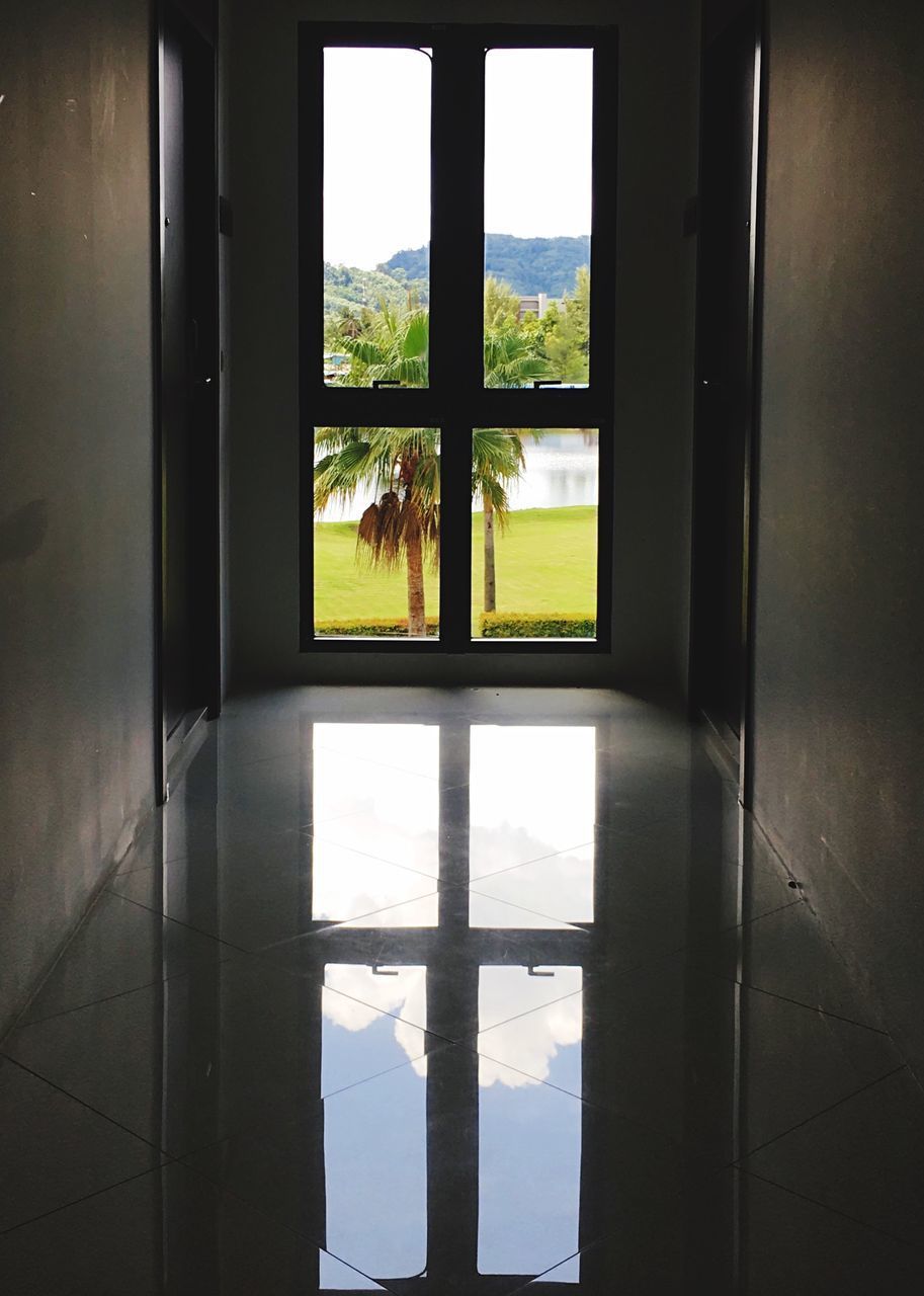 TREES SEEN THROUGH WINDOW OF BUILDING