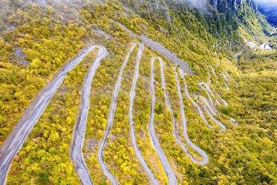 High angle view of road amidst trees in forest