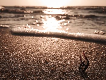 Surface level of beach against sky during sunset