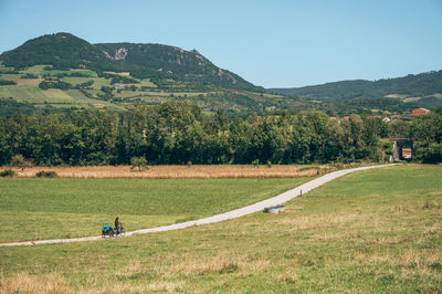 People walking on field