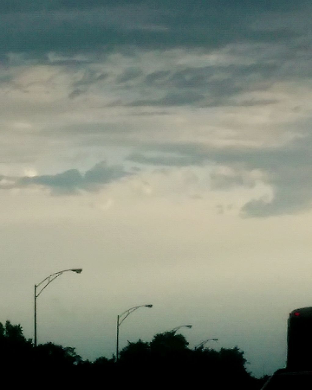 HIGH SECTION OF SILHOUETTE TREES AGAINST CLOUDS