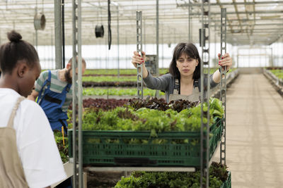 Rear view of boy standing in greenhouse