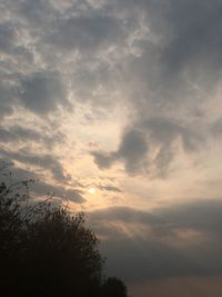 Low angle view of silhouette trees against sky at sunset