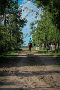 Man riding horse