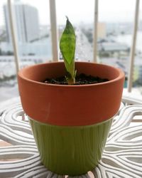 Close-up of drink on table