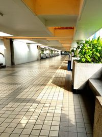 Corridor of building