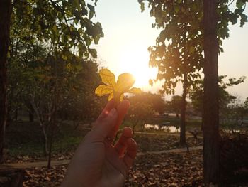 Midsection of person holding sun during sunset