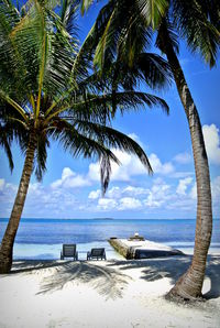 Palm tree on beach against sky