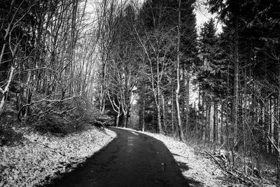 Road amidst trees in forest