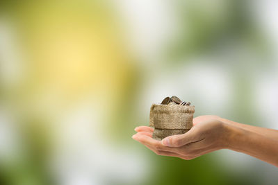 Close-up of hand holding coins in sack