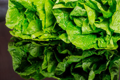 Full frame shot of green leaves