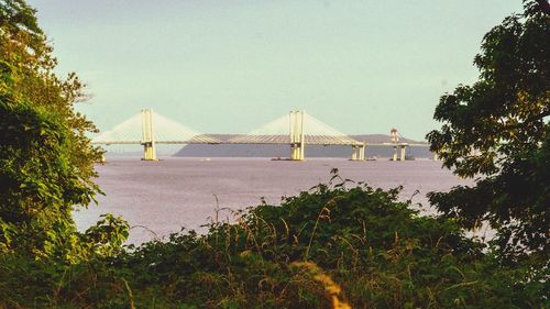 Suspension bridge over sea against clear sky