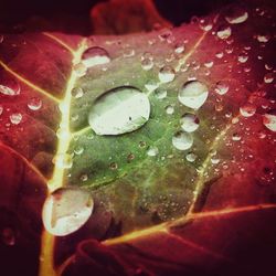 Close-up of water drops on glass