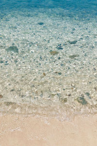 High angle view of crab on beach