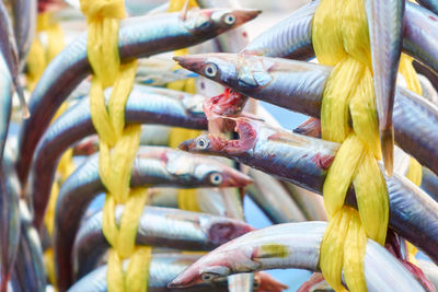 Close-up of multi colored fish on market